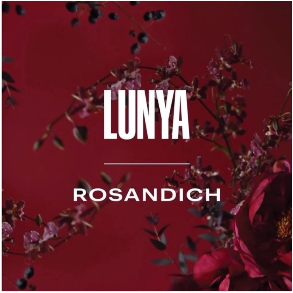 LUNYA x ROSANDICH BNWT Washable Silk Tee Short Set in Rouge Reverie Size XS - Picture 6 of 10